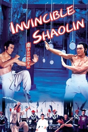 Invincible Shaolin 1978 Dual Audio | Dubbed Hindi Movie BluRay [1.3GB]