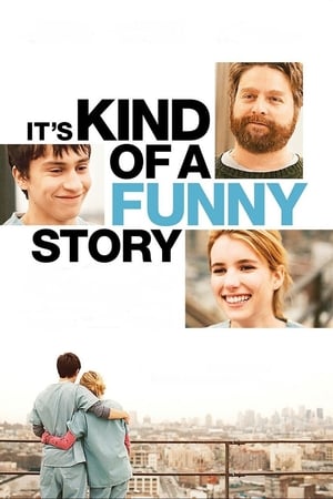 Its Kind of a Funny Story 2010 Dual Audio | Dubbed Hindi Movie BluRay 330MB