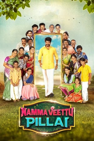 Namma Veettu Pillai (2019) ( -Tamil) Dual Audio | Dubbed Hindi Movie UnCut HDRip [1.4GB]