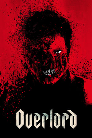 Overlord (2018) Dual Audio | Dubbed Hindi Movie BluRay 380MB