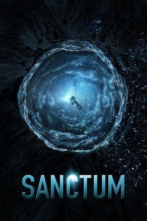 Sanctum (2011) Dual Audio | Dubbed Hindi Movie BluRay [800MB]