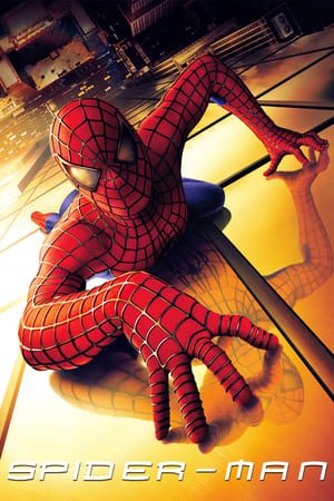 Spider Man (2002) Dual Audio Bluray | Dubbed Hindi Movie [800MB] Download