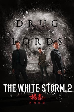 The White Storm 2: Drug Lords (2019) (Org) | Dubbed Hindi Movie HDRip 300MB